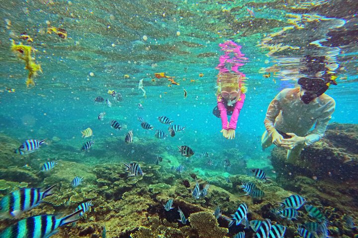 Phu Quoc: Discovery Snorkeling Tour with Island BBQ (Max 12 pax)
