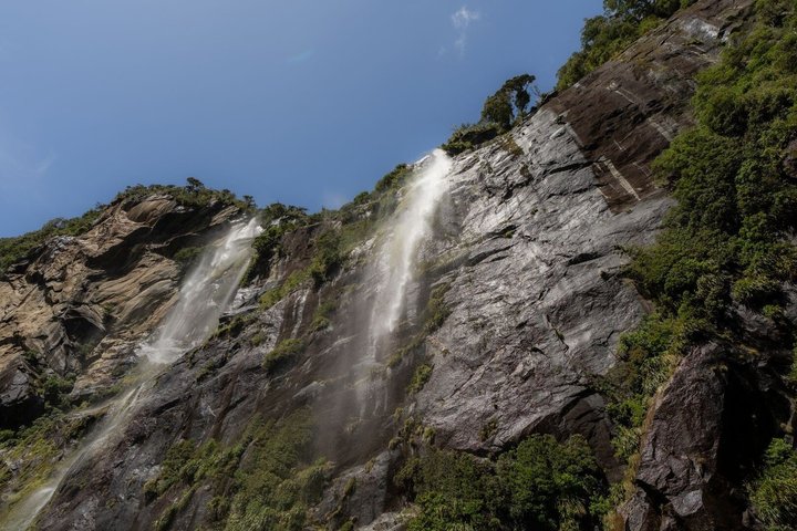 Milford Sound Nature Cruise with Southern Discoveries