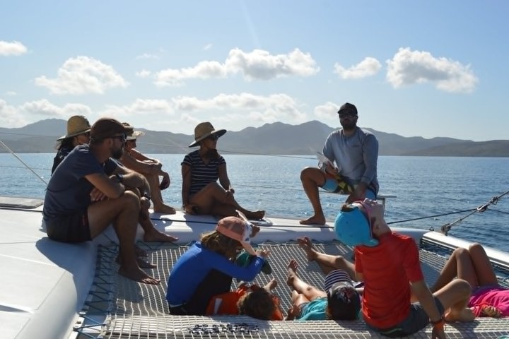 Whale Watching by sailing catamaran from Noumea
