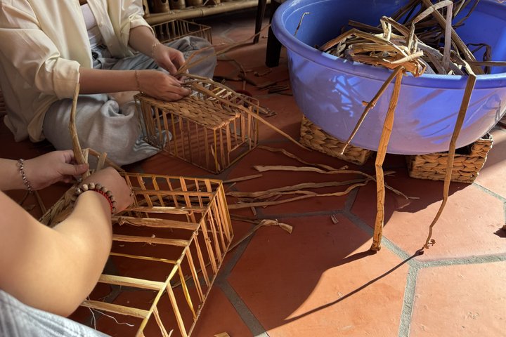 Mekong Delta and Cai Rang Floating Market 5-Hours Tour