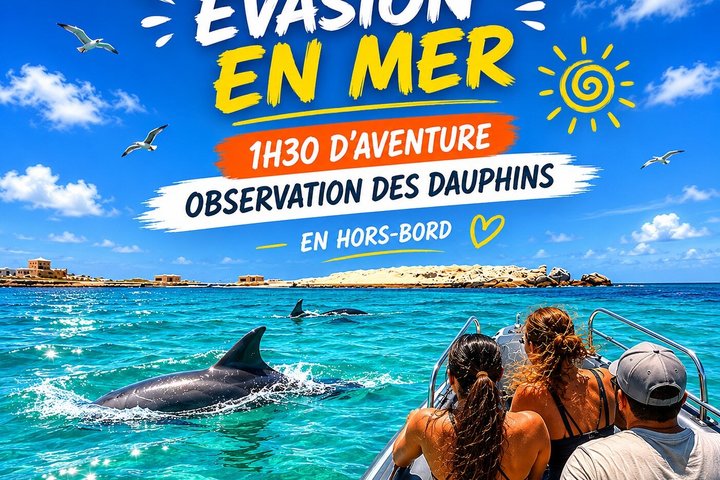 1h30 Sea Trip with Swimming and Dolphin Watching