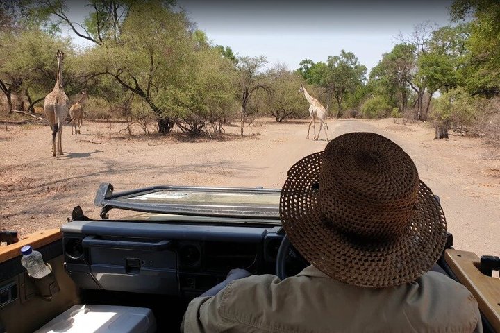 South Luangwa National Park Safari Game Drive