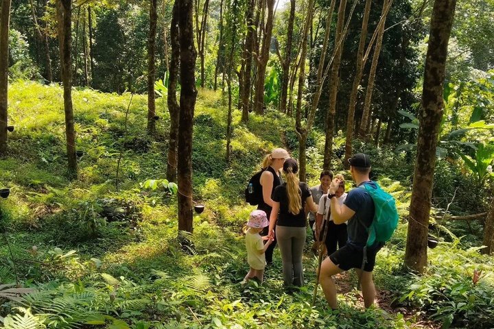 Private Koh Chang Jungle Trekking with Hotel Transfer