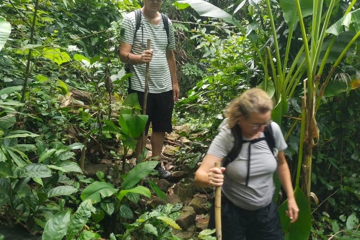 Private Koh Chang Jungle Trekking with Hotel Transfer