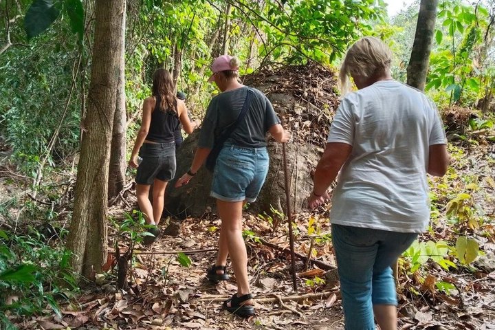 Private Koh Chang Jungle Trekking with Hotel Transfer