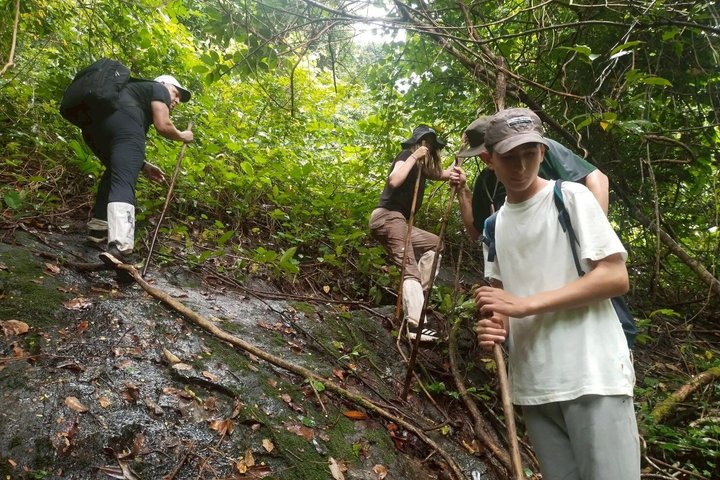 Private Koh Chang Jungle Trekking with Hotel Transfer