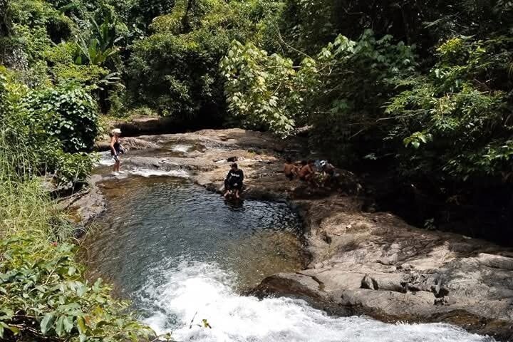 Private Koh Chang Jungle Trekking with Hotel Transfer