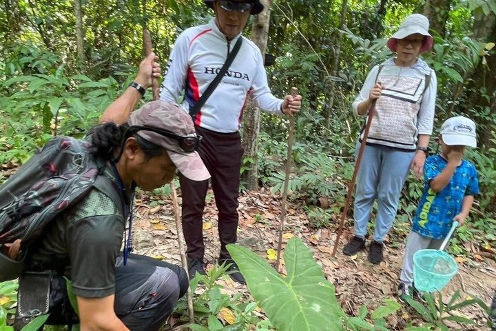 Private Koh Chang Jungle Trekking with Hotel Transfer