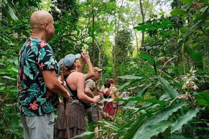 Private Koh Chang Jungle Trekking with Hotel Transfer