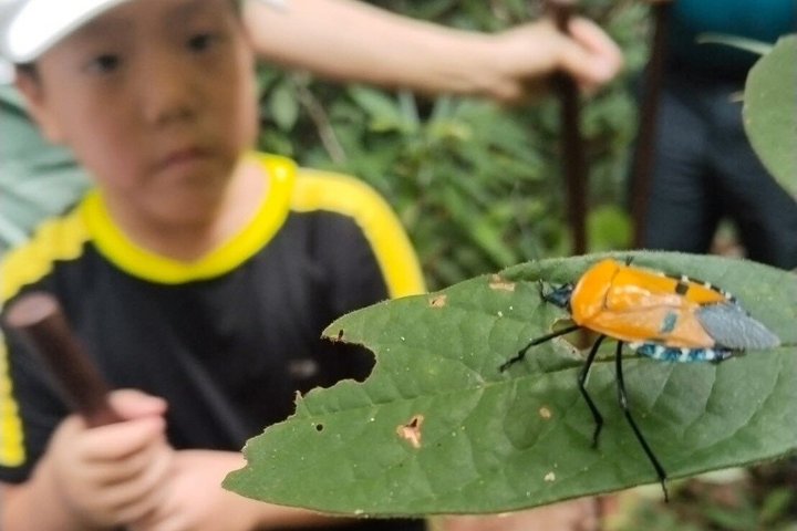 Private Koh Chang Jungle Trekking with Hotel Transfer