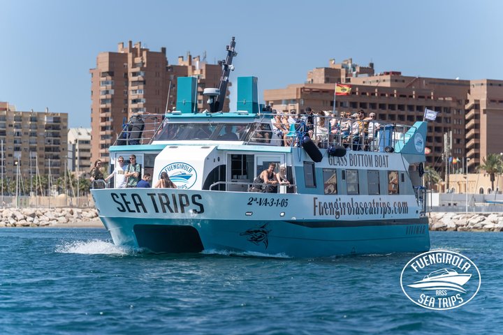 Dolphin watching on a Catamaran in Fuengirola