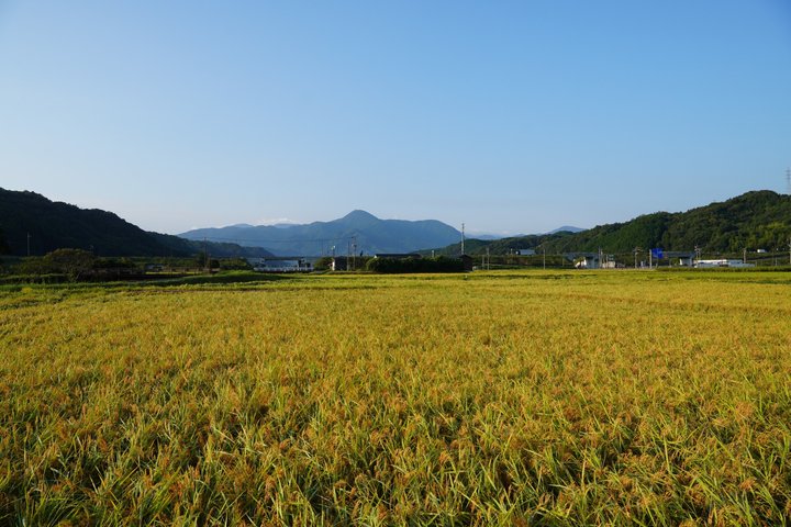 Tottori Tour