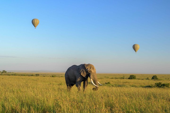 The ultimate Mara Balloon Experience