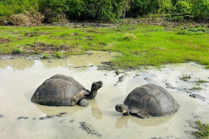 "Galapagos Discovery Premium – Bay Tour - 4 Days / 3 Nights"