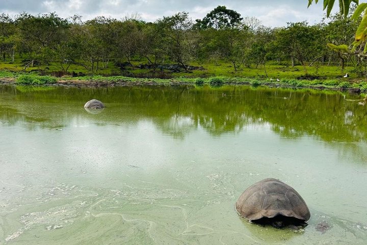 "Galapagos Discovery Premium – Bay Tour - 4 Days / 3 Nights"