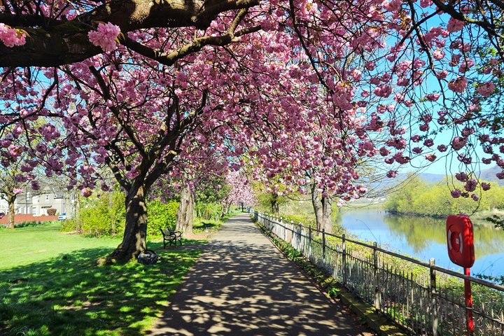 The Ultimate E Bike Tour of Stirling: The Best Way to See More