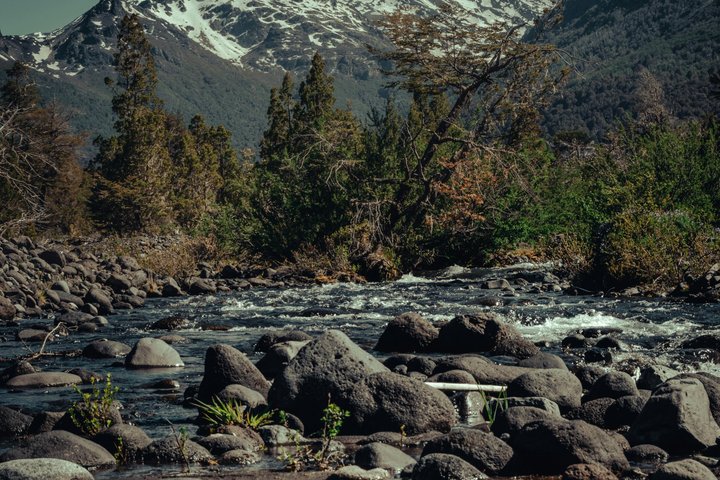 Tour of the Lanin Volcano and Huechulafquen Lake