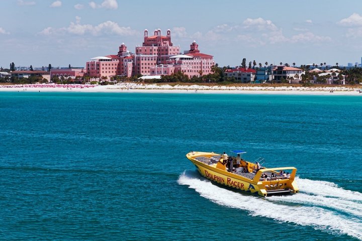 Dolphin Racer Adventure Cruise in St. Pete