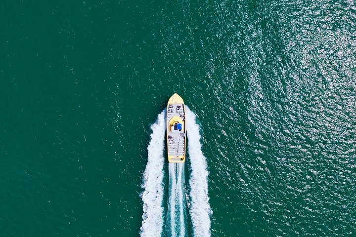 Dolphin Racer Adventure Cruise in St. Pete