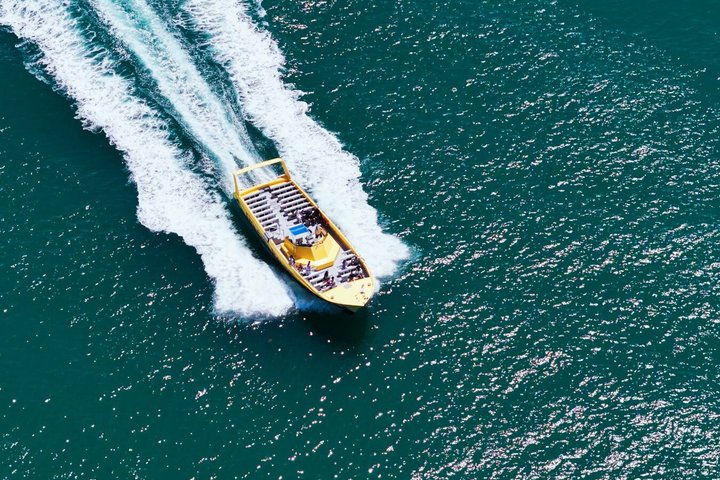 Dolphin Racer Adventure Cruise in St. Pete