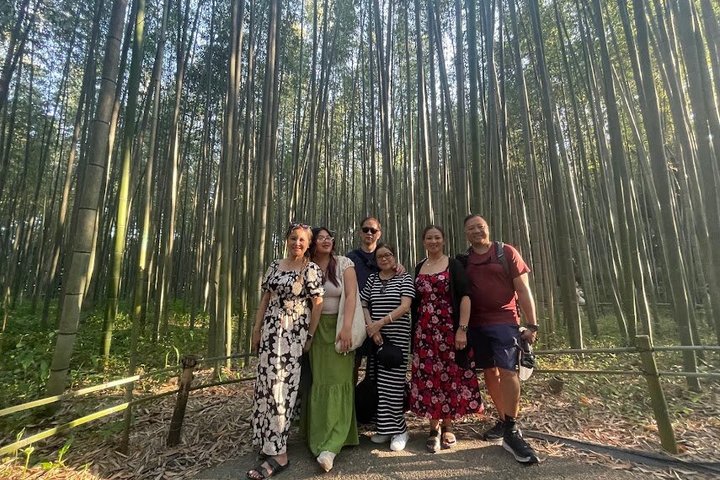 Kyoto Customized Private Tour in 1 Day with Licensed Guide