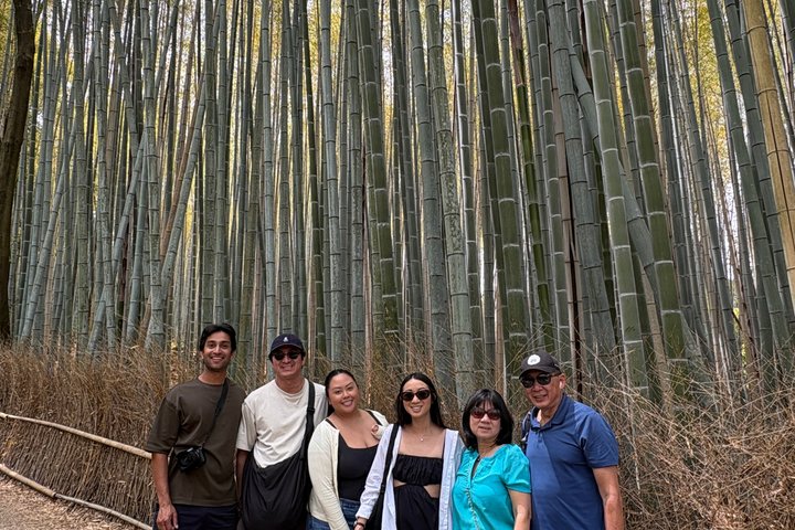 Kyoto Customized Private Tour in 1 Day with Licensed Guide