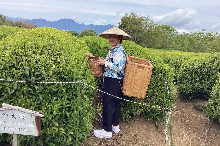 Fuji Nature Customized Private Tour by Car with Licensed Guide