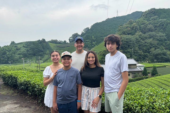 Fuji Forest Half-Day Hike with Nature Guide & Transfer