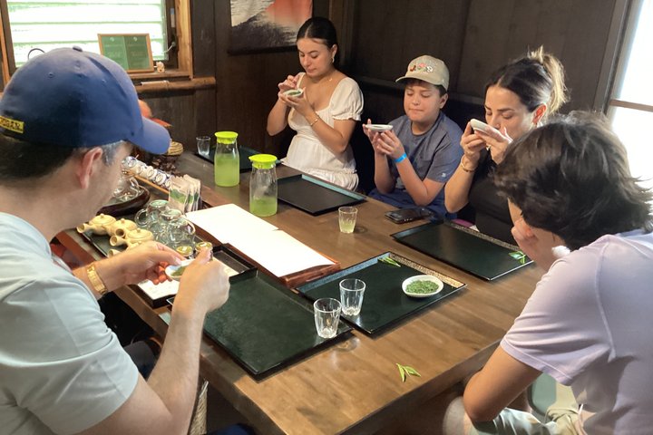 Fuji Forest Half-Day Hike with Nature Guide & Transfer