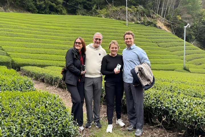 Fuji Forest Half-Day Hike with Nature Guide & Transfer