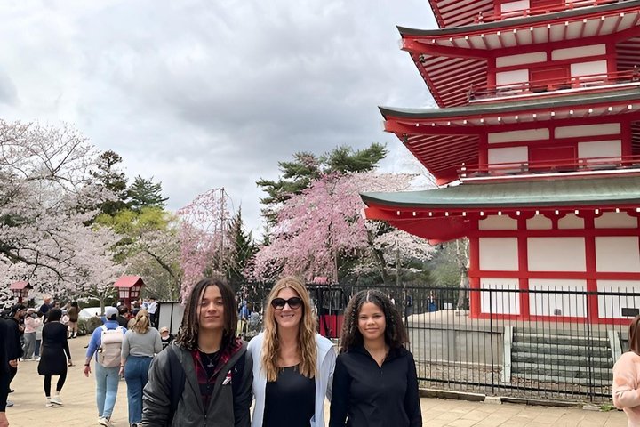 Fuji Forest Half-Day Hike with Nature Guide & Transfer