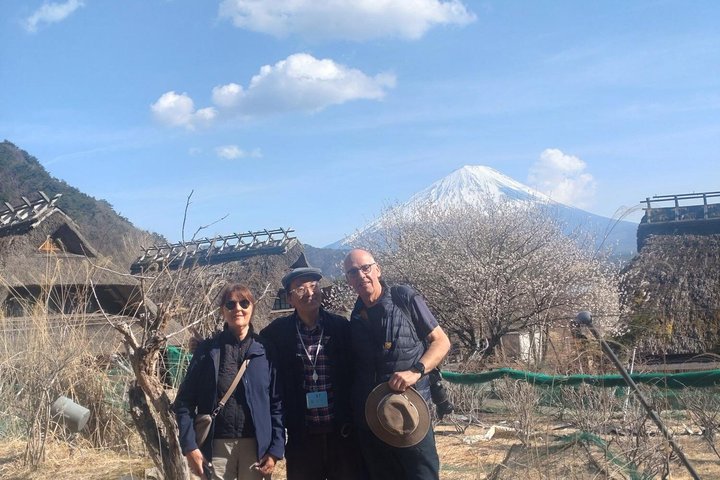 Fuji Forest Half-Day Hike with Nature Guide & Transfer