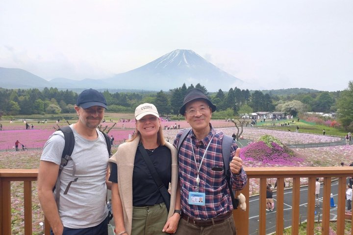 Fuji Forest Half-Day Hike with Nature Guide & Transfer