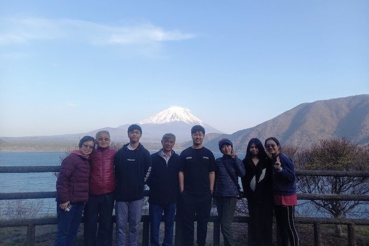 Fuji Forest Half-Day Hike with Nature Guide & Transfer