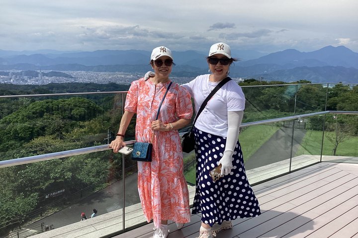 Mt. Fuji View Shimizu Customized Tour with Licensed Guide