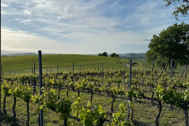 Hidden Castles & Chianti Wine Experience– Small Group