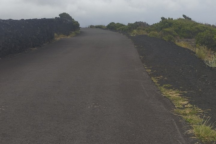 Pico Grand Tour: Volcanoes, UNESCO Vineyards & Local Culture