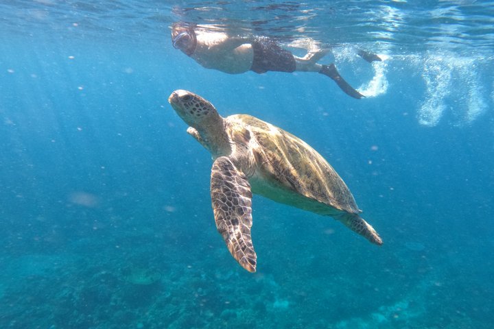 Private Gili Snorkelling Tour: Turtles & Reefs + GoPro + Drinks