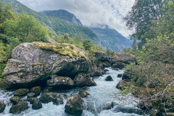 Bergen: Tour National Park Folgafonna and Glacier Lake