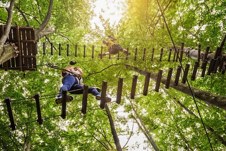 Ziplining Adventure in Ixtapa with Hotel Pickup