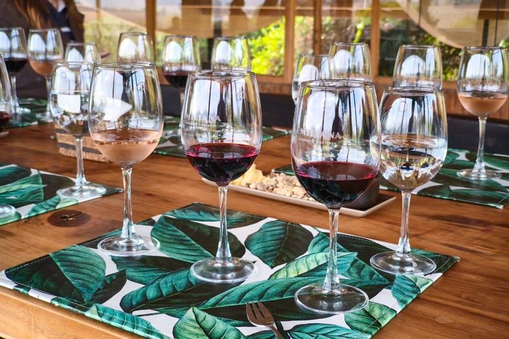 Santiago: Valparaiso, Viña del Mar & Casablanca Wine Tour
