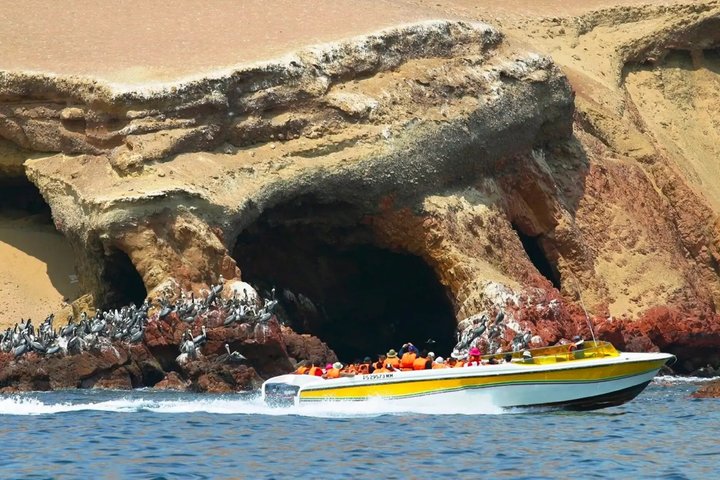 Premium Paracas & Huacachina Day Trip from Lima with Sunset Toast