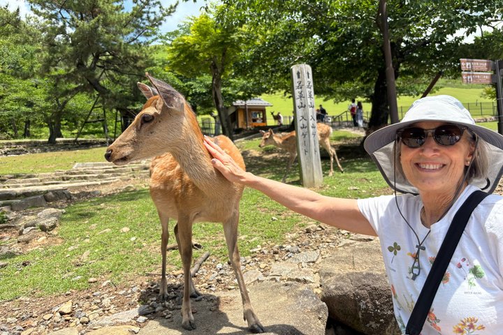 Nara Day Trip from Osaka by Private Car with Licensed Guide