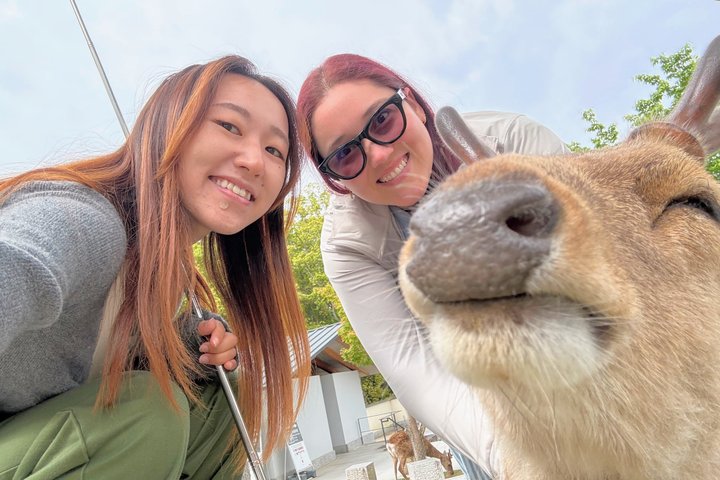 World Heritage Kyoto & Nara Uji Authentic Matcha Experience