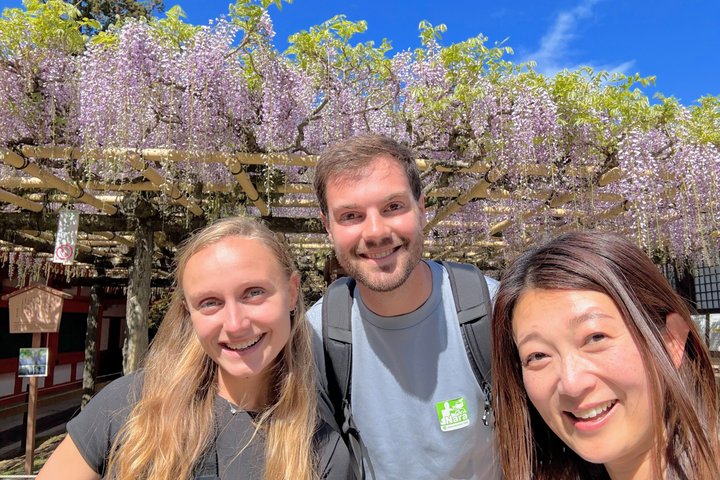 World Heritage Kyoto & Nara Uji Authentic Matcha Experience