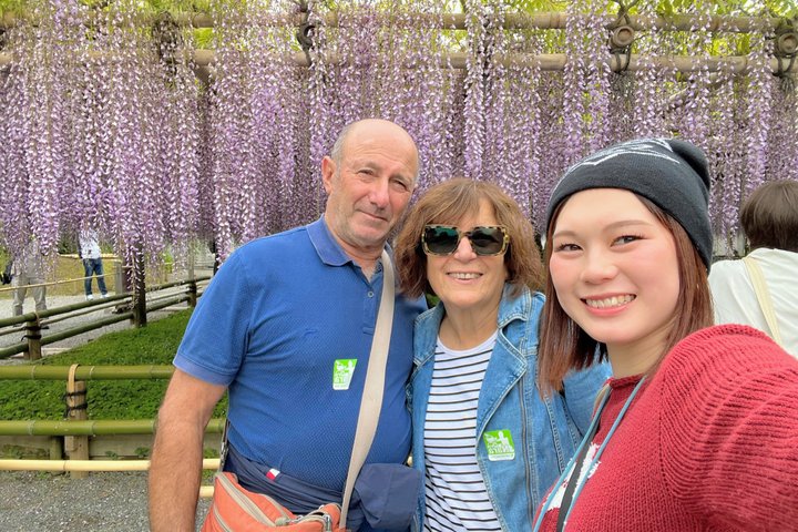 World Heritage Kyoto & Nara Uji Authentic Matcha Experience