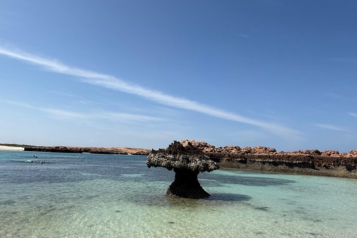 Snorkeling in Daymaniat Island