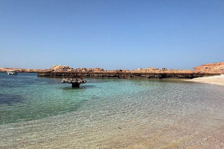 Snorkeling in Daymaniat Island