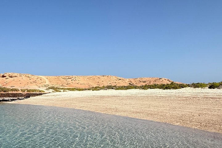 Snorkeling in Daymaniat Island