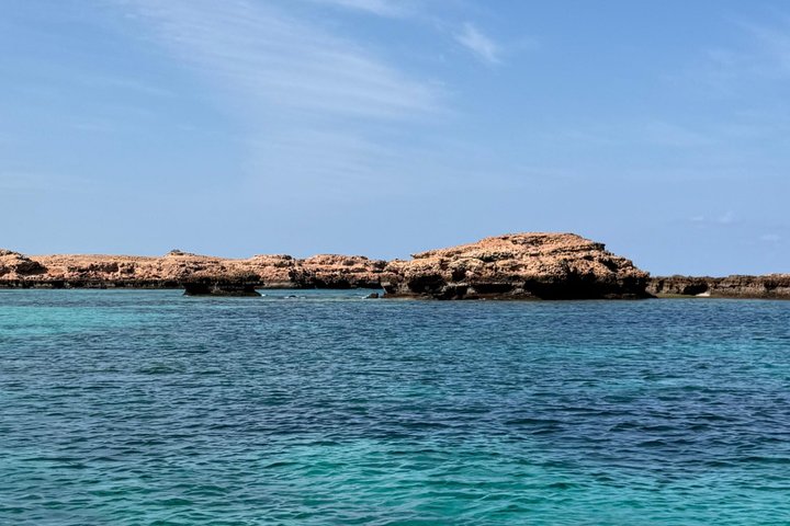 Snorkeling in Daymaniat Island